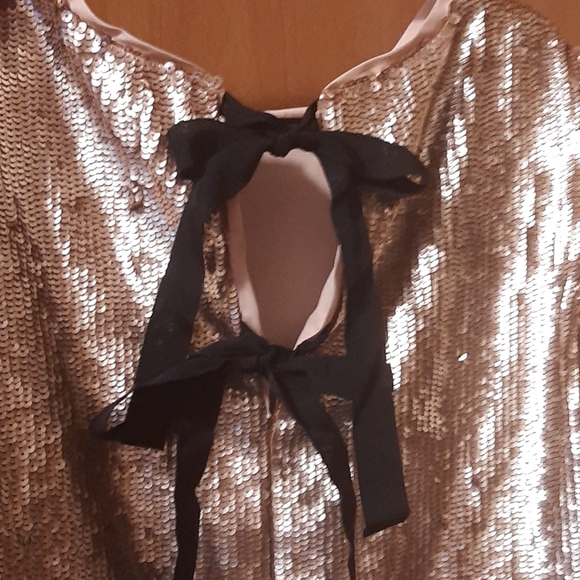 J.Crew Bianca Rose Gold Sequin Top Size
8 tall - Picture 4 of 4